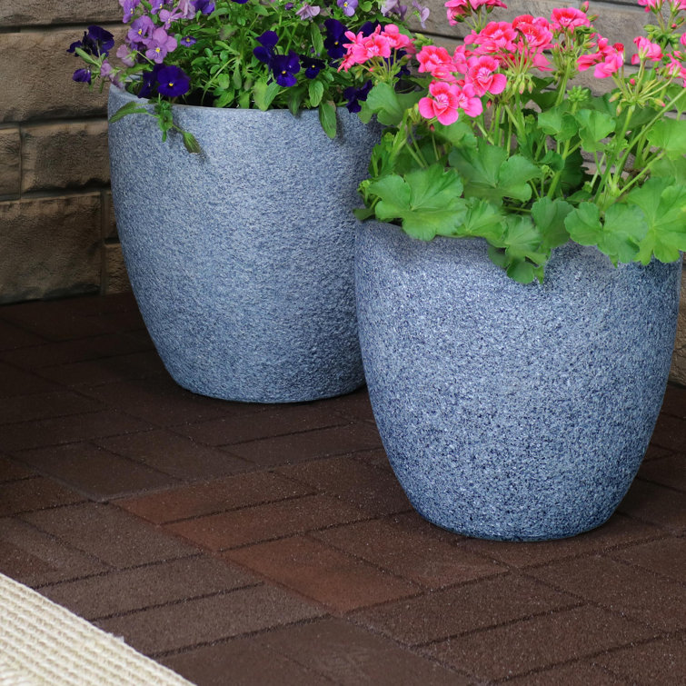 Ivy Bronx Planter Wayfair Canada